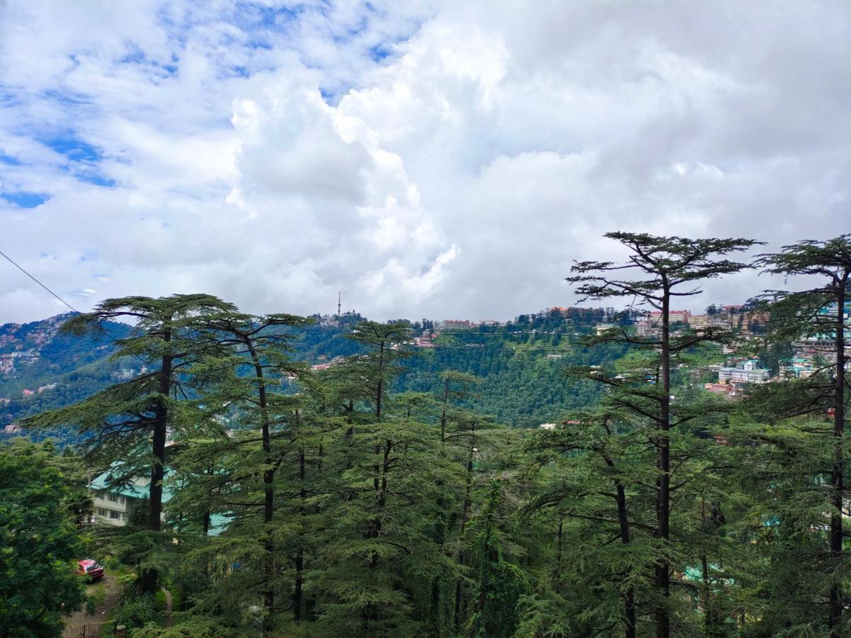 Mountain Zest-Simla Royale Near Mall Road-Free Pickup From Railway Station Simla Kültér fotó